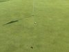The Salt Pond Golf Club