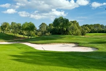 The Salt Pond Golf Club