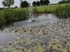 Stenger's Shamrock Farms Par 3