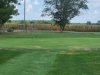 Stenger's Shamrock Farms Par 3