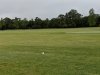 Stenger's Shamrock Farms Par 3