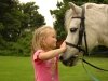 Delmarva Discovery Tours