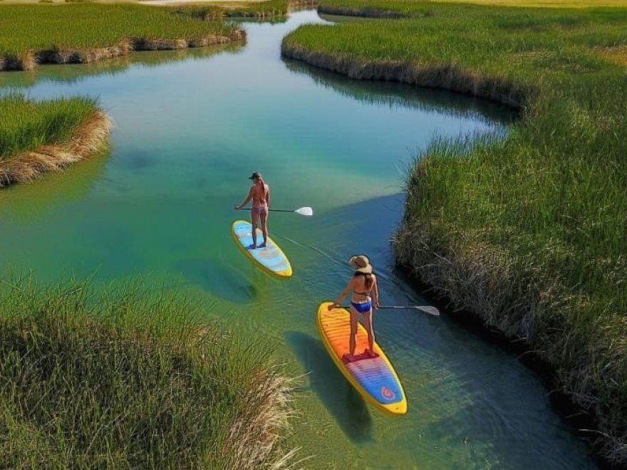 Delmarva Board Sports Waterfront Concession