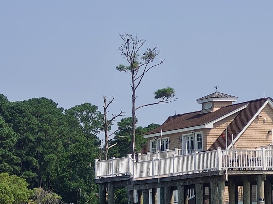 Delmarva Board Sports Waterfront Concession