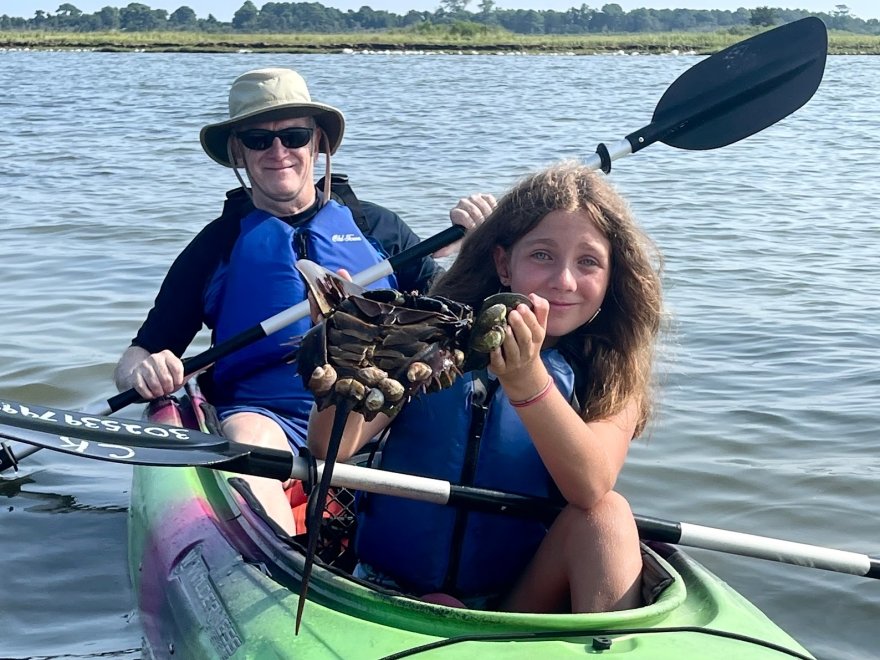 Coastal Kayak