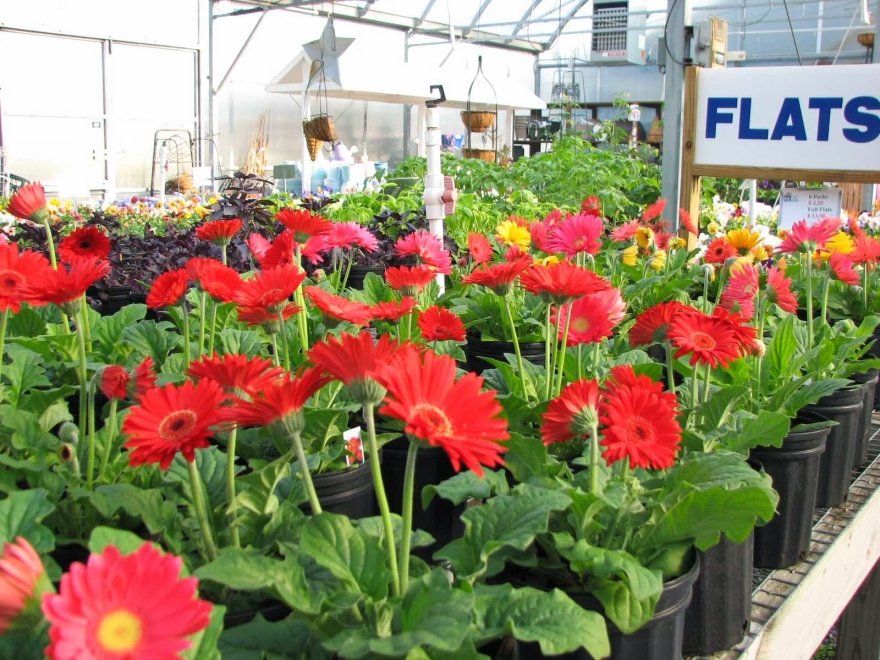 East Coast Garden Center