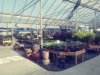 East Coast Garden Center