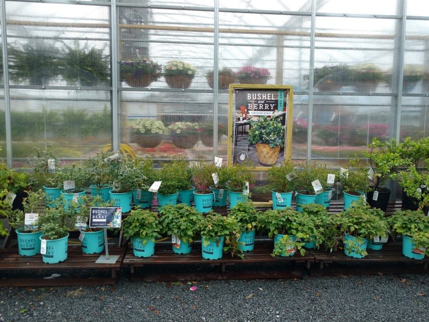 East Coast Garden Center