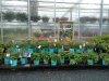 East Coast Garden Center
