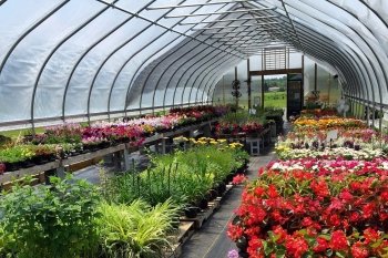 Garden Shack Farm