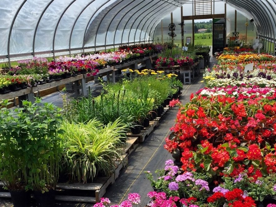 Garden Shack Farm