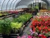 Garden Shack Farm