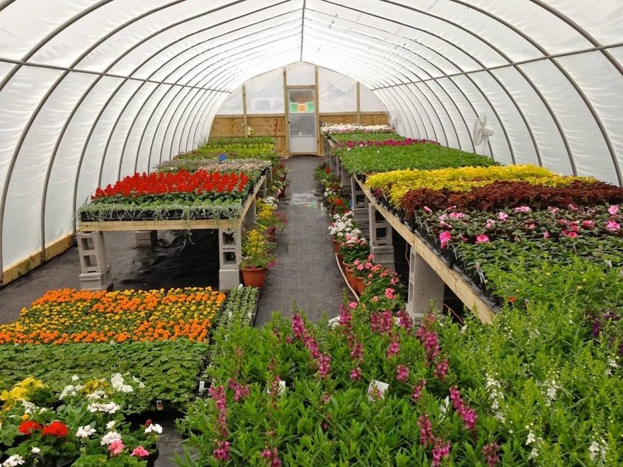 Garden Shack Farm