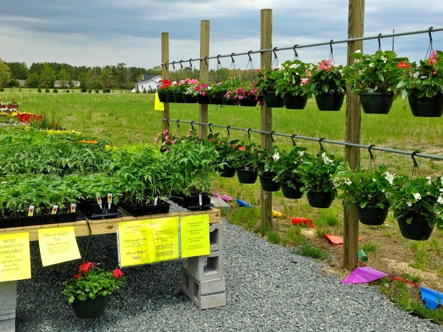 Garden Shack Farm