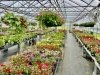 Garden Shack Farm