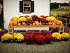 Garden Shack Farm