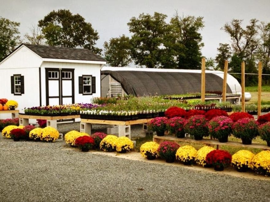 Garden Shack Farm