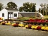 Garden Shack Farm