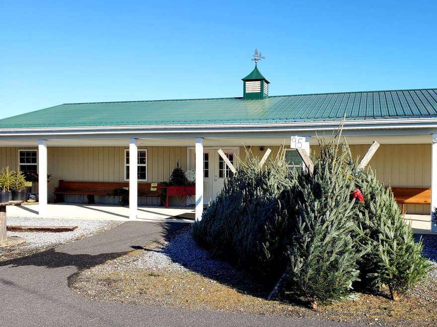 Don's Tree Farm - Off Season Call Ahead