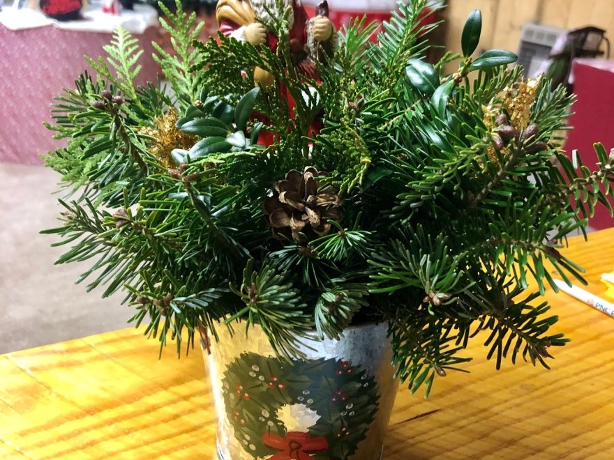Don's Tree Farm - Off Season Call Ahead