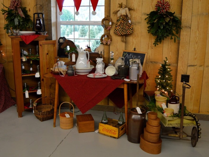 Don's Tree Farm - Off Season Call Ahead