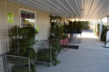 Don's Tree Farm - Off Season Call Ahead