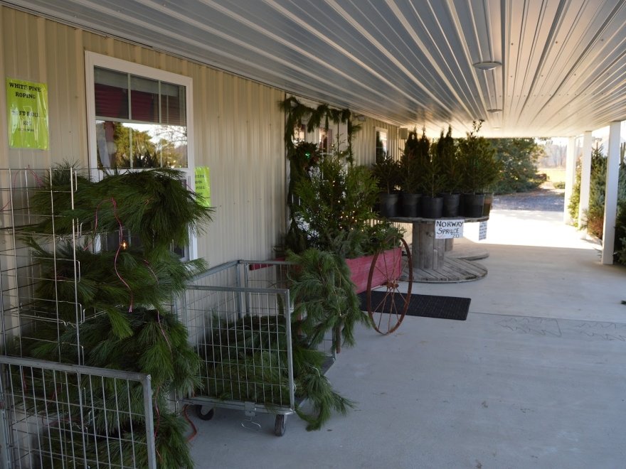 Don's Tree Farm - Off Season Call Ahead