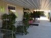 Don's Tree Farm - Off Season Call Ahead