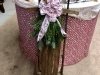 Don's Tree Farm - Off Season Call Ahead