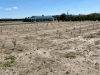 Don's Tree Farm - Off Season Call Ahead