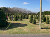 Don's Tree Farm - Off Season Call Ahead