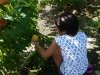 Bennett Orchards