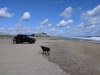 Fenwick Island State Park