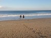 Fenwick Island State Park