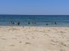 Fenwick Island State Park