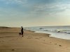 Fenwick Island State Park
