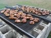 Lost Lands RV Park