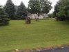 Pine Tree Campground