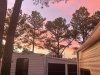 Pine Tree Campground