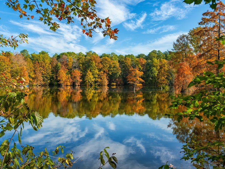 Trap Pond State Park
