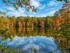 Trap Pond State Park