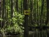 Trap Pond State Park