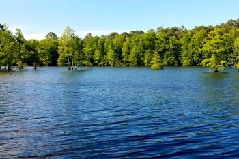 Trap Pond State Park