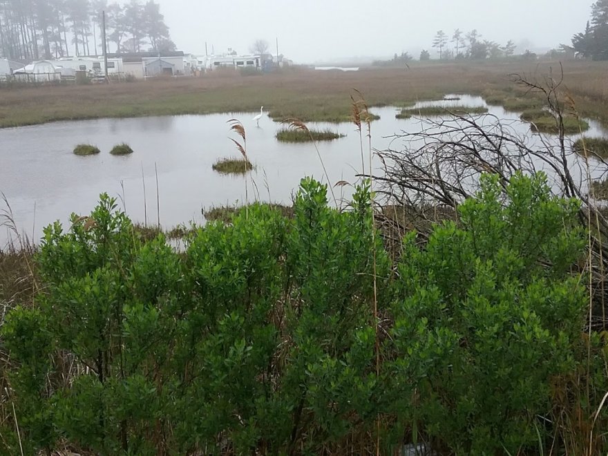 Malone's Bayside Marina