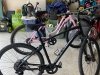 Seagreen Bicycle