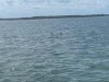 Indian River Marina