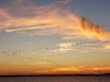 Rehoboth Bay Sailing Association