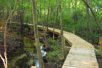 Abbott's Mill Nature Center of Delaware Nature Society