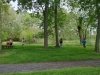 Bethany Beach Nature Center