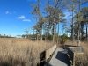 Bethany Beach Nature Center